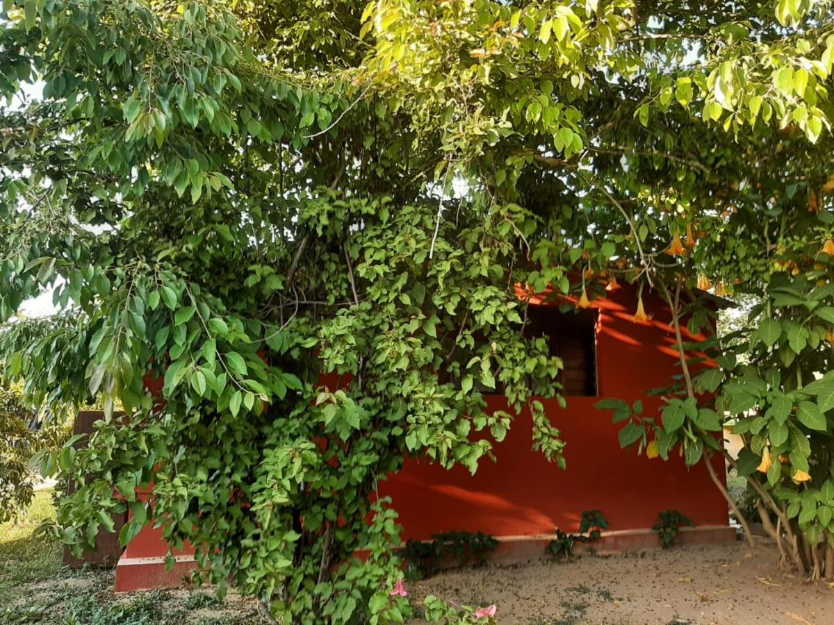 Casa Di Campagna Dal Pozzo 소르소 외부 사진