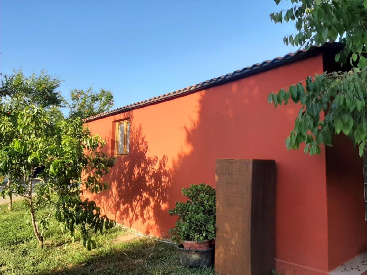 Casa Di Campagna Dal Pozzo 소르소 외부 사진
