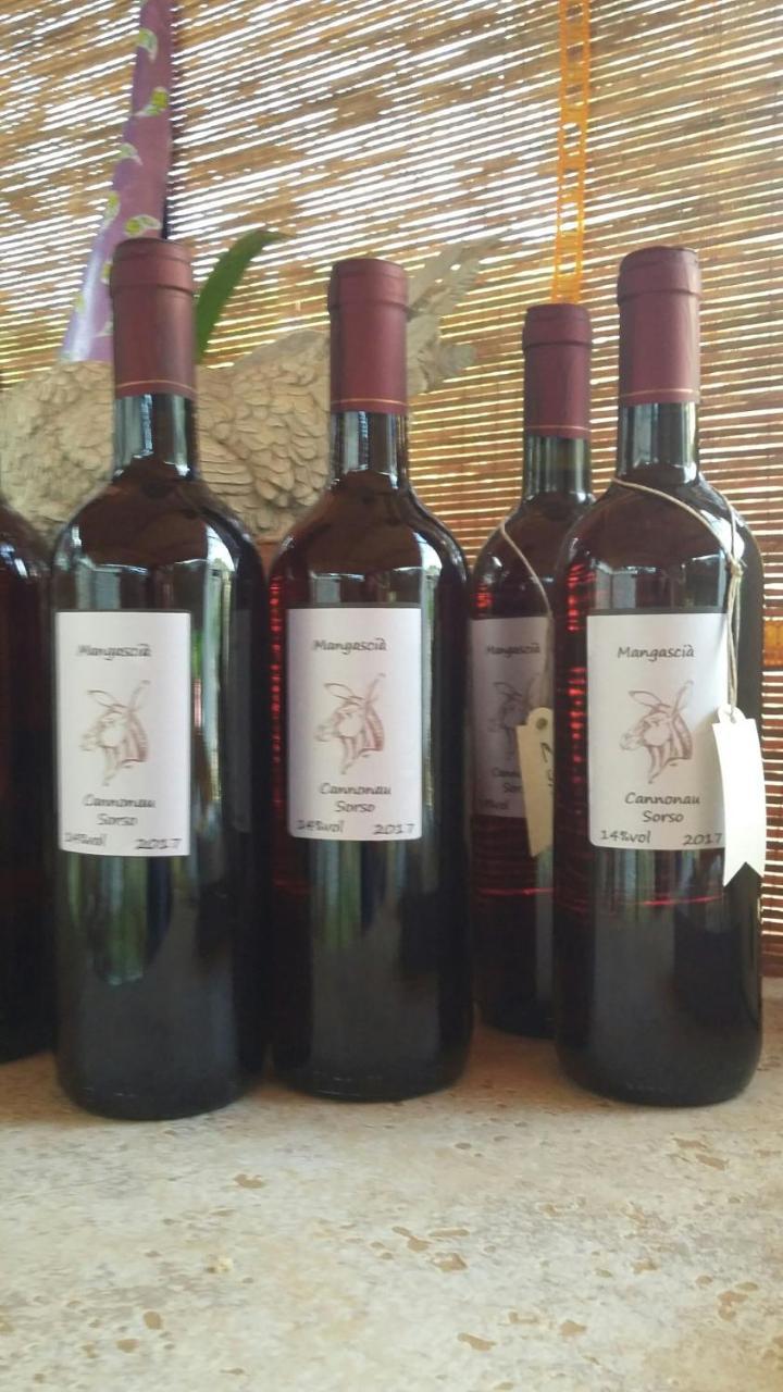 Casa Di Campagna Dal Pozzo 소르소 외부 사진