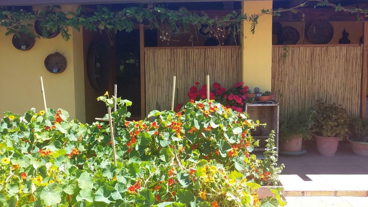 Casa Di Campagna Dal Pozzo 소르소 외부 사진